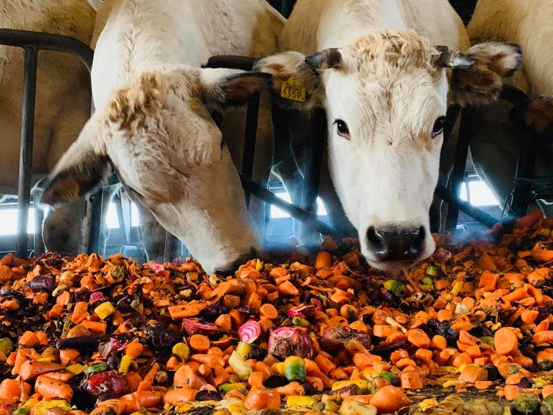 De Lekkerste Streekproducten in Schagen